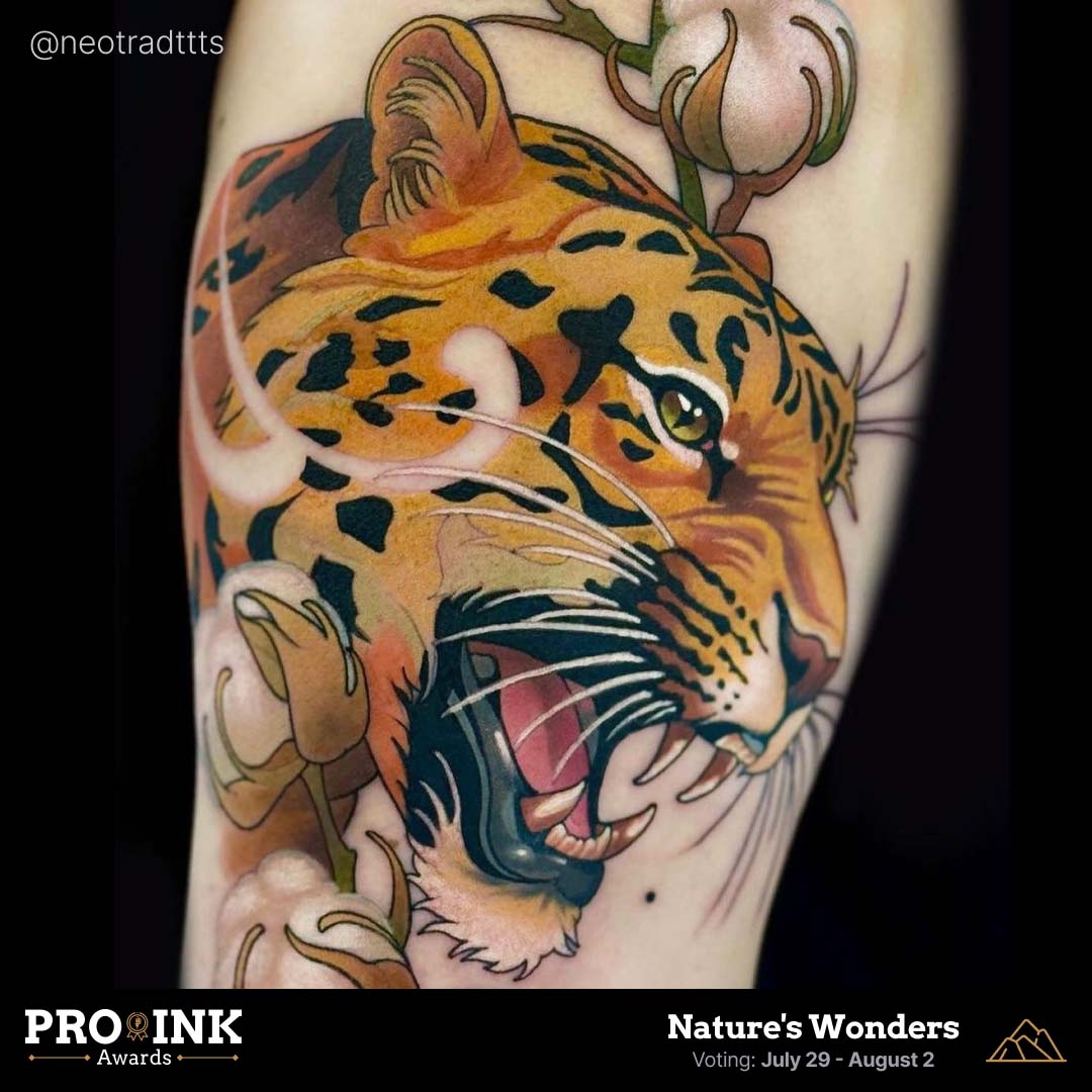 Nature's Wonders by @neotradttts